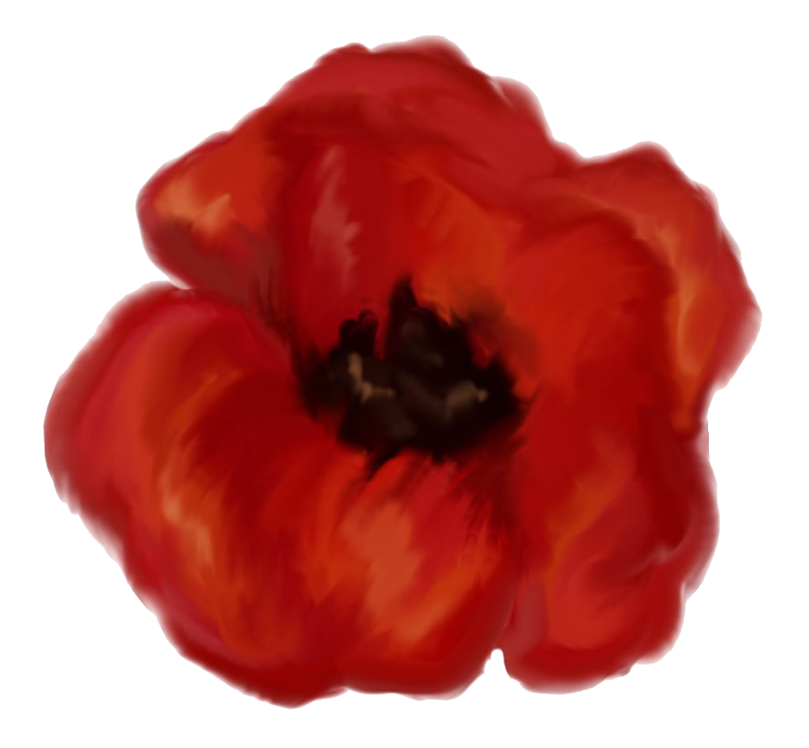 Poppy Drawing Honoring 'M'
